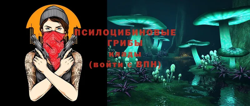 Галлюциногенные грибы Psilocybe  blacksprut сайт  Бирюсинск 